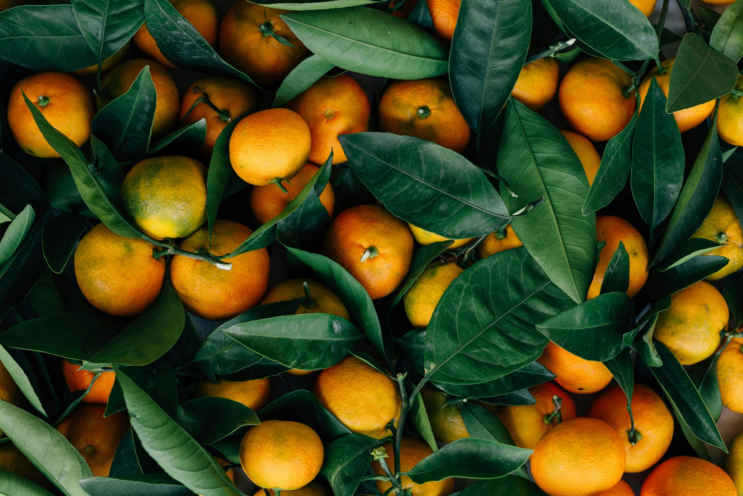 Appelsin – frisk frugt med antiinflammatorisk kraft