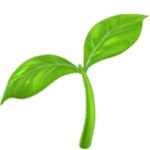 Antiinflammatoriske frø og kerner