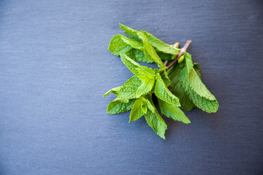 pebermynte antiinflammatorisk pebermynte antiinflammatorisk