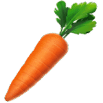 carrot