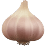 garlic