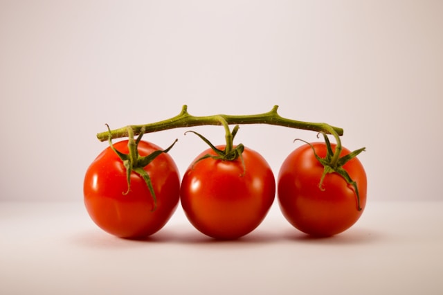 Røde, modne cherrytomater på en gren