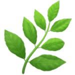 Antiinflammatoriske urter