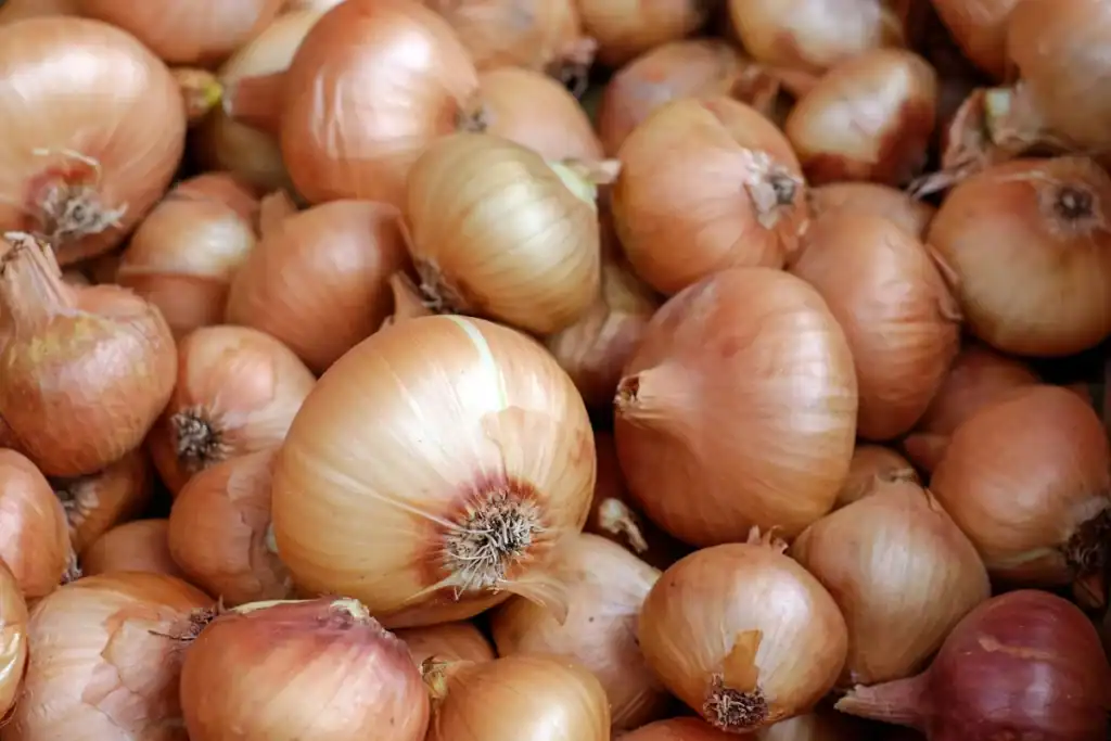friske loeg antiinflammatorisk quercetin superfood Friske hele løg i en bunke